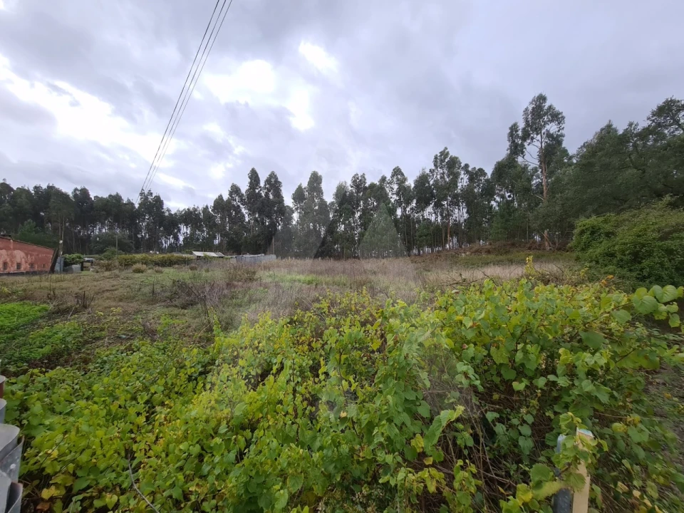 Terreno para Venda em Requeixo, Nossa Senhora de Fátima e Nariz Foto 2