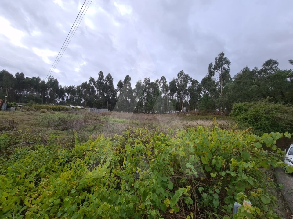 Terreno para Venda em Requeixo, Nossa Senhora de Fátima e Nariz Foto 6