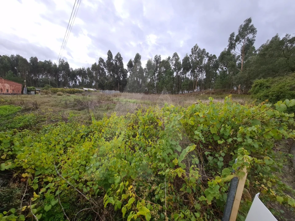 Terreno para Venda em Requeixo, Nossa Senhora de Fátima e Nariz Foto 7
