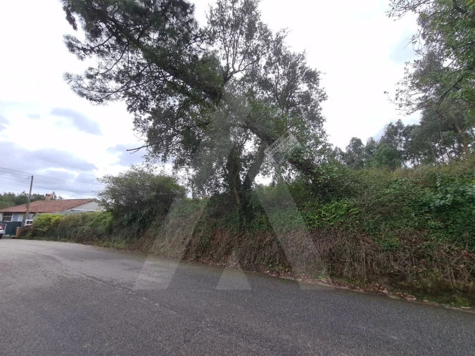 Terreno para Venda em Requeixo, Nossa Senhora de Fátima e Nariz Foto 3