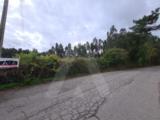Terreno para Venda em Requeixo, Nossa Senhora de Fátima e Nariz Foto 5