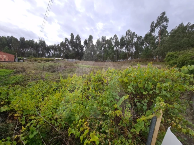 Terreno para Venda em Requeixo, Nossa Senhora de Fátima e Nariz Foto 7