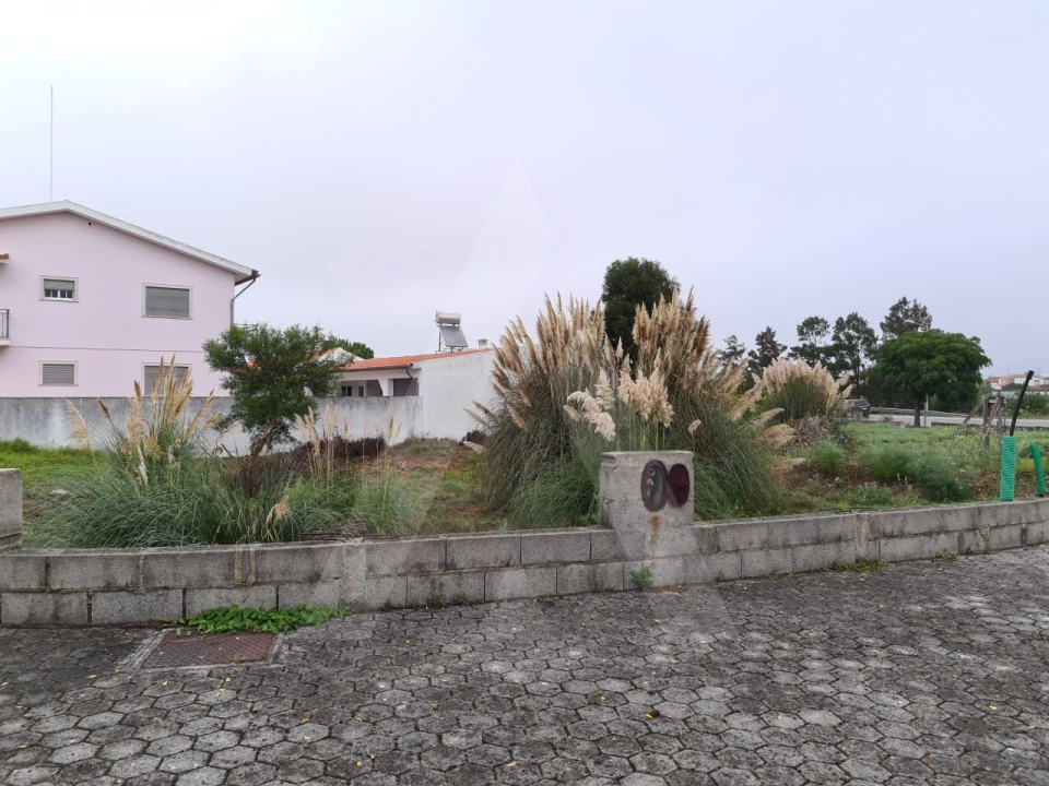 Terreno para Venda em Ílhavo (São Salvador) Foto 3