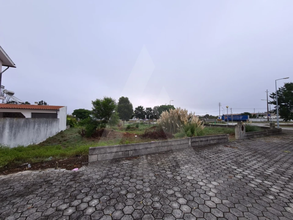 Terreno para Venda em Ílhavo (São Salvador) Foto 4