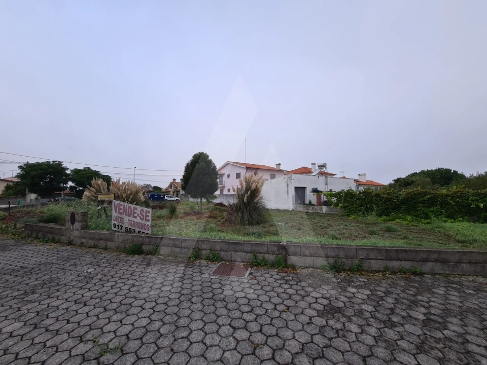 Terreno para Venda em Ílhavo (São Salvador) Foto 6