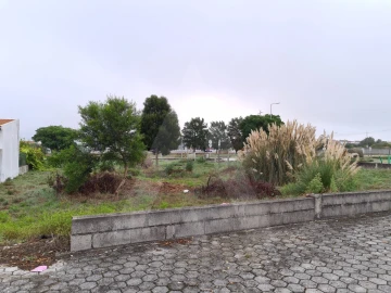 Terreno para Venda em Ílhavo (São Salvador)
