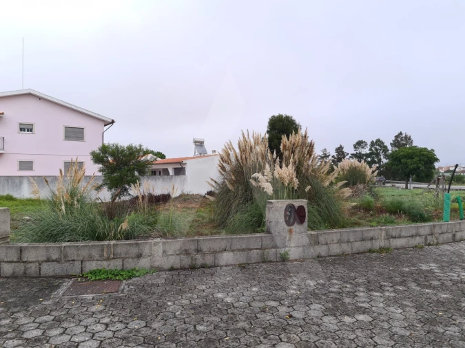 Terreno para Venda em Ílhavo (São Salvador) Foto 3