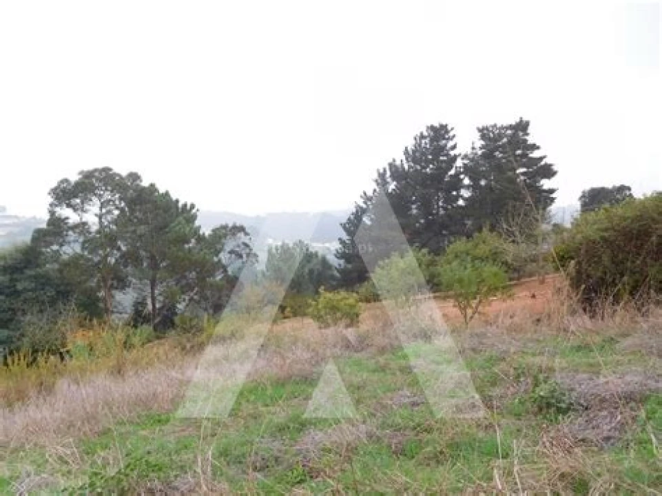 Terreno para Venda em Cacia Foto 1