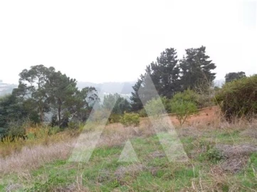 Terreno para Venda em Cacia