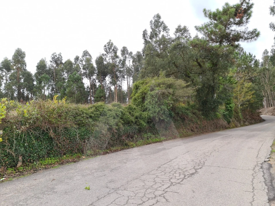 Terreno para Venda em Requeixo, Nossa Senhora de Fátima e Nariz Foto 8