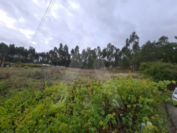 Terreno para Venda em Requeixo, Nossa Senhora de Fátima e Nariz