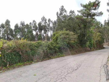 Terreno para Venda em Requeixo, Nossa Senhora de Fátima e Nariz