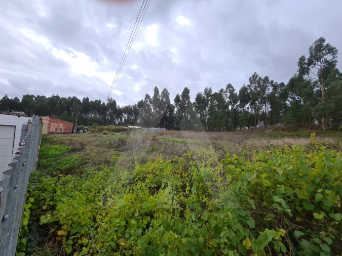 Terreno para Venda em Requeixo, Nossa Senhora de Fátima e Nariz Foto 7
