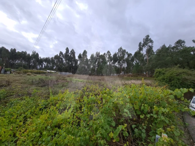 Terreno para Venda em Requeixo, Nossa Senhora de Fátima e Nariz Foto 10