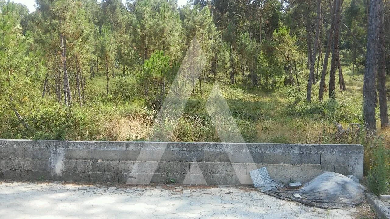 Terreno para Venda em Oliveira do Bairro Foto 1
