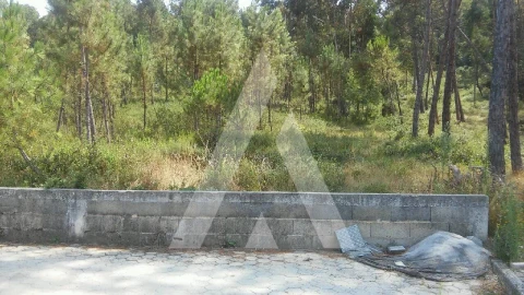 Terreno para Venda em Oliveira do Bairro