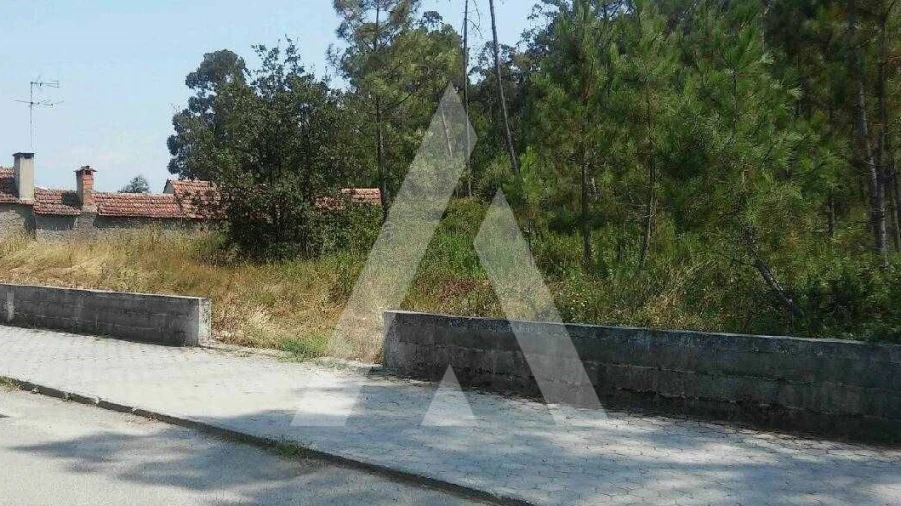 Terreno para Venda em Oliveira do Bairro Foto 2