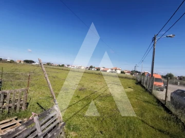 Terreno para Venda em Esgueira