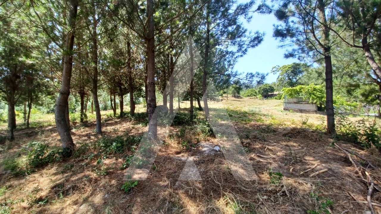 Terreno para Venda em Couto de Baixo e Couto de Cima Foto 7