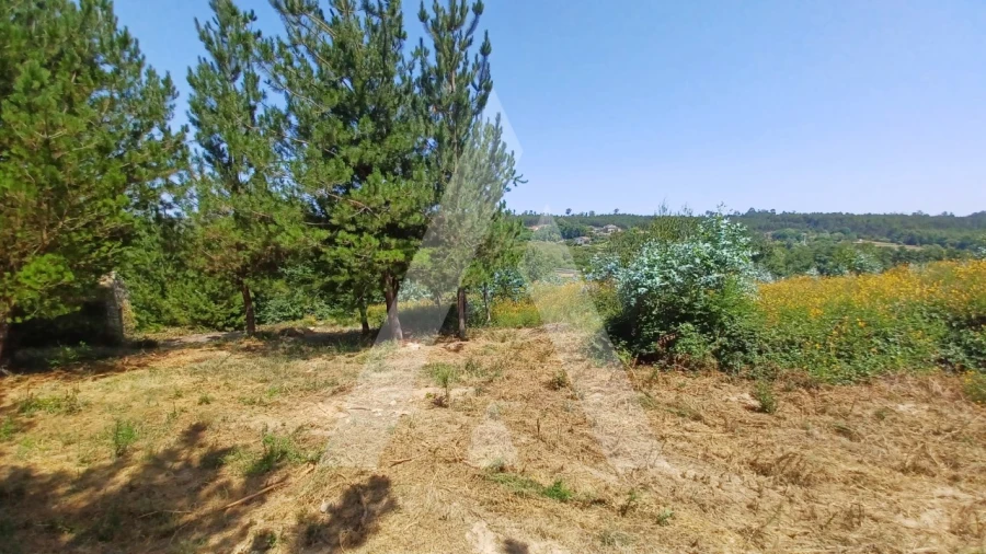 Terreno para Venda em Couto de Baixo e Couto de Cima Foto 8