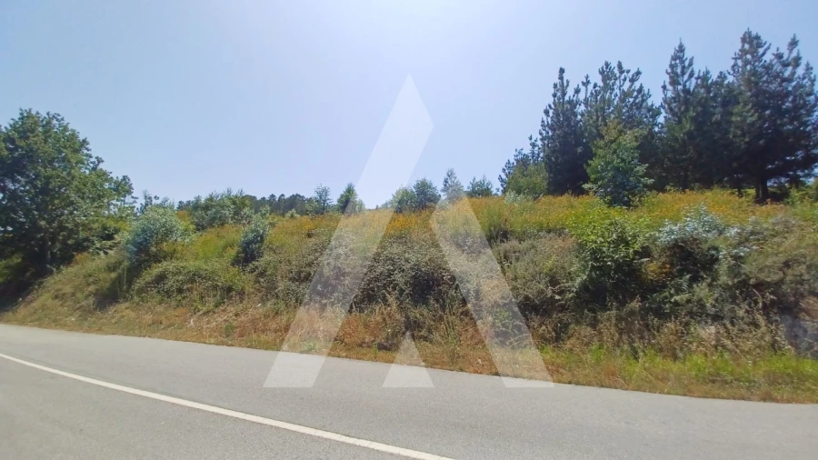 Terreno para Venda em Couto de Baixo e Couto de Cima Foto 10