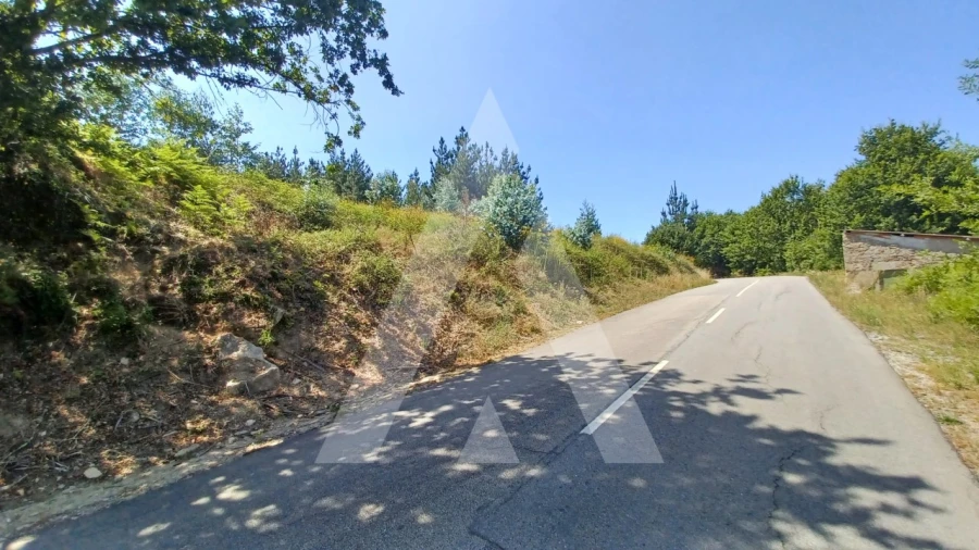 Terreno para Venda em Couto de Baixo e Couto de Cima Foto 11