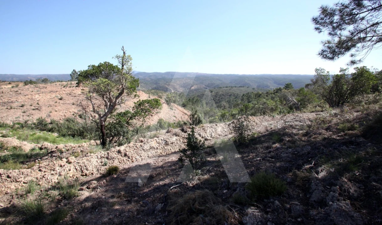 Terreno Misto para Venda em Aljezur Foto 18