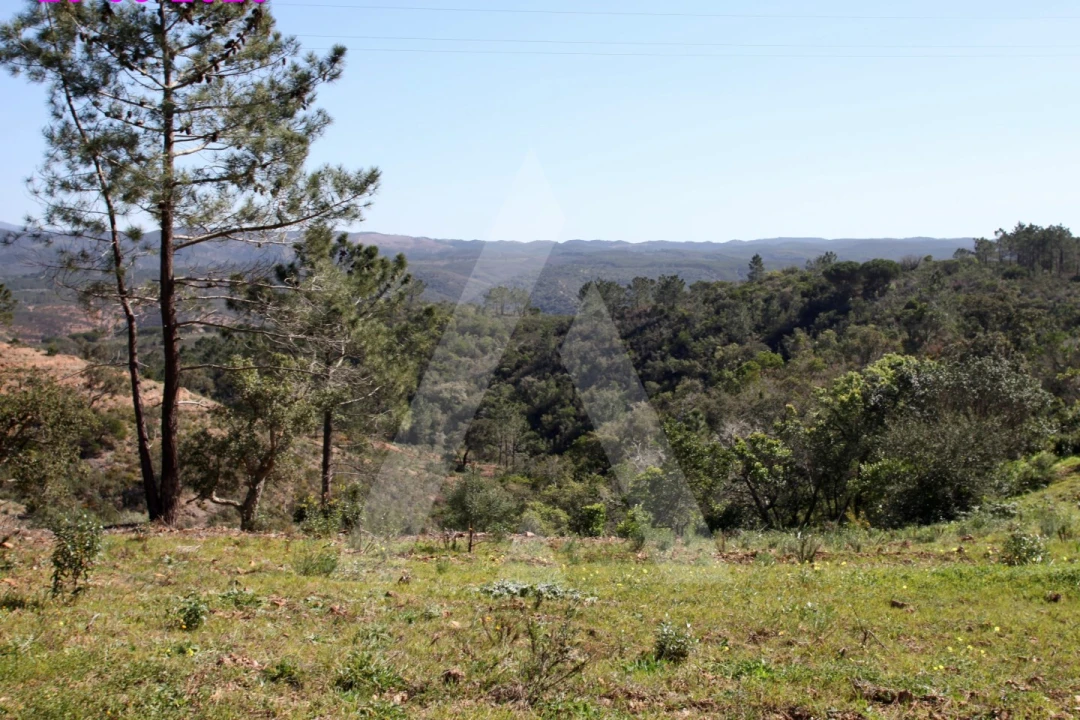Terreno Misto para Venda em Aljezur Foto 1