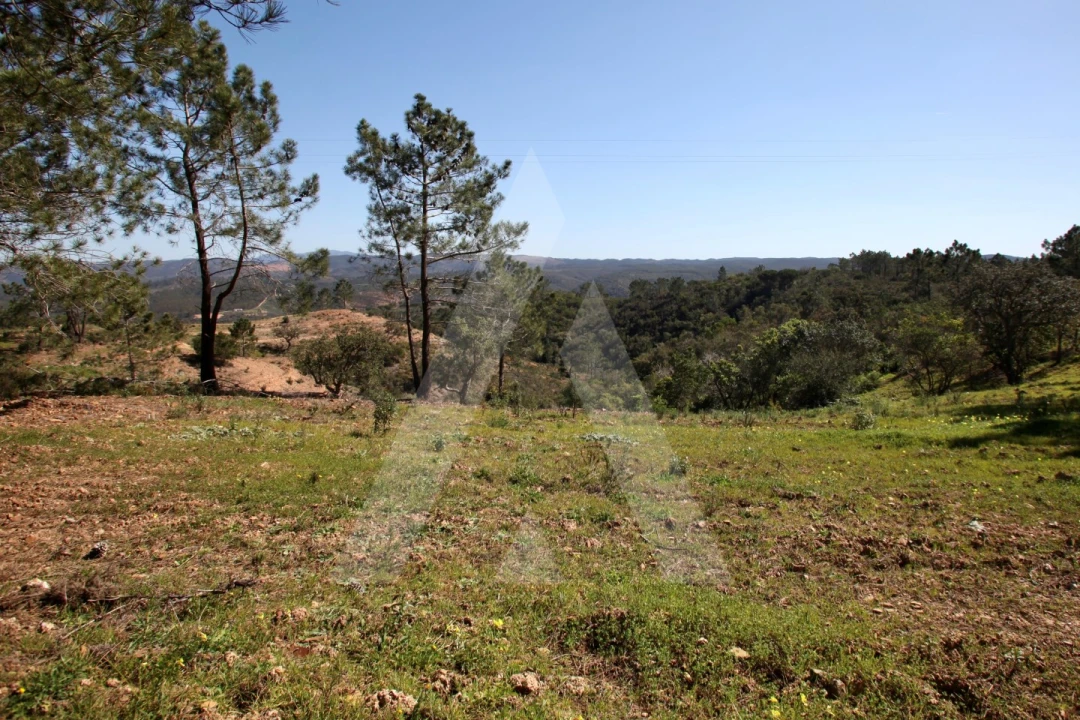 Terreno Misto para Venda em Aljezur Foto 25