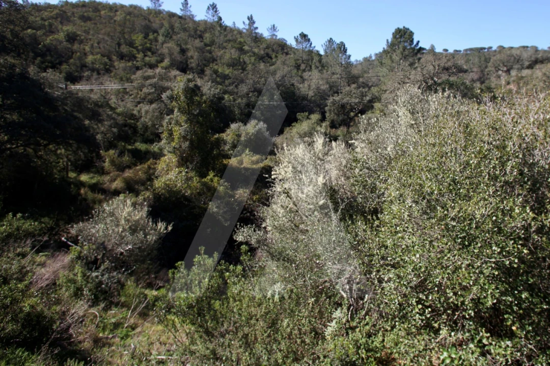Terreno Misto para Venda em Aljezur Foto 28
