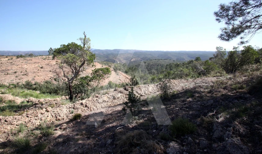 Terreno Misto para Venda em Aljezur Foto 18