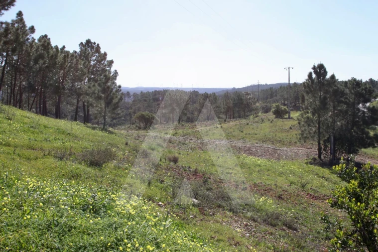 Terreno Misto para Venda em Aljezur Foto 27