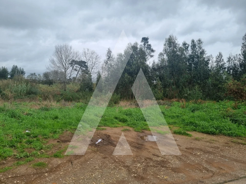 Terreno para Venda em Barrô e Aguada de Baixo Foto 2