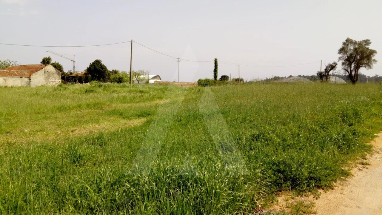 Terreno para Venda em Palhaça Foto 4