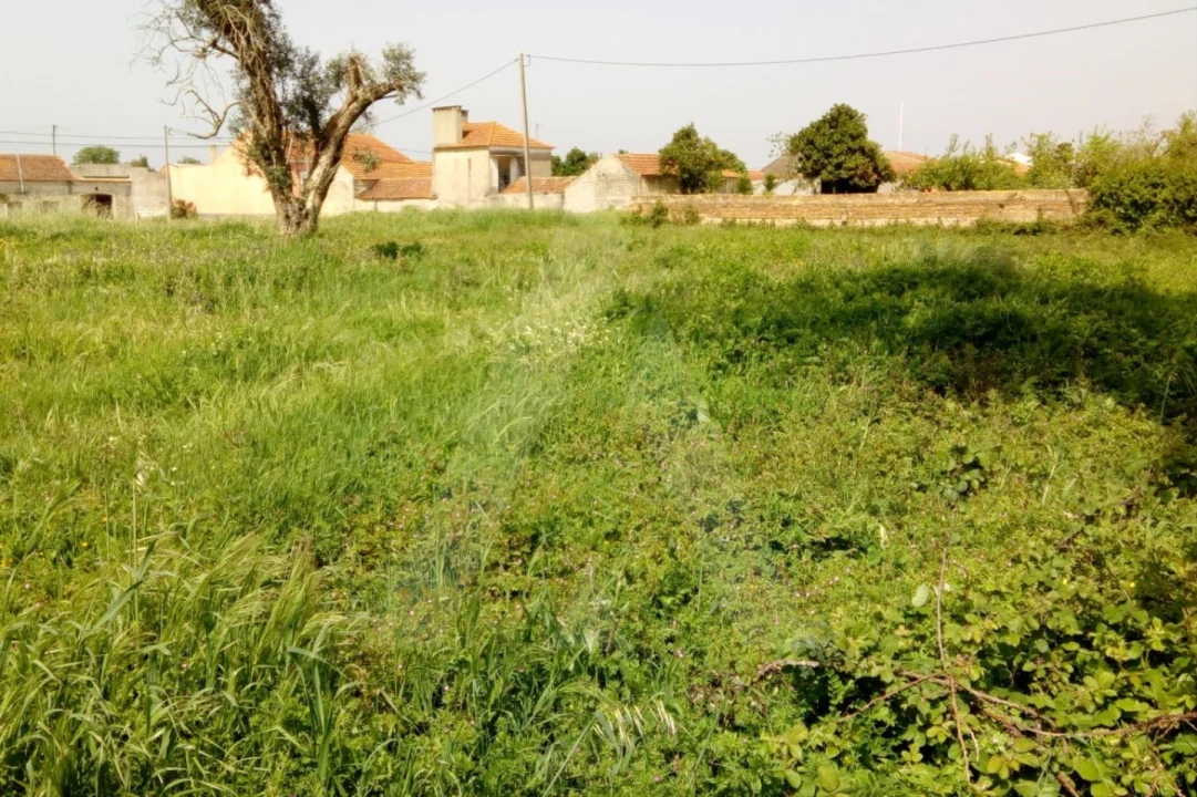 Terreno para Venda em Palhaça Foto 2
