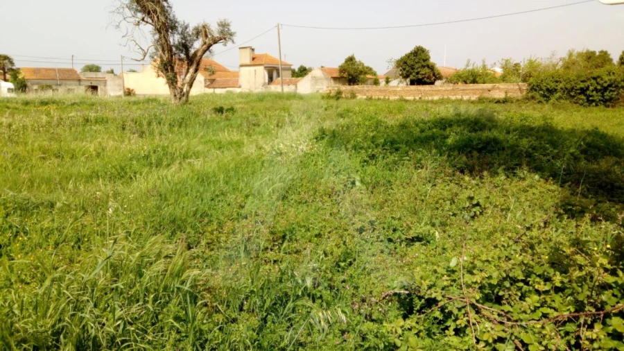 Terreno para Venda em Palhaça Foto 5