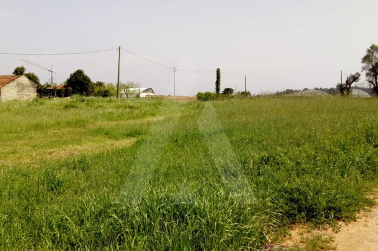 Terreno para Venda em Palhaça