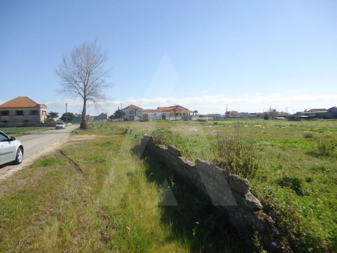 Terreno para Venda em Aradas Foto 3