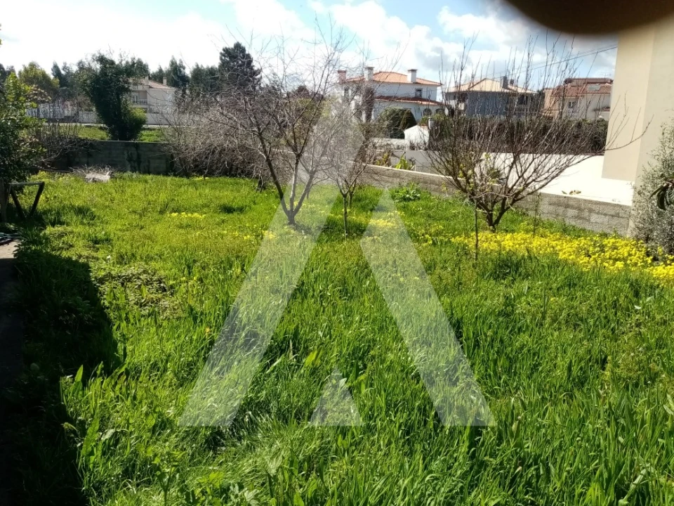 Terreno para Venda em Albergaria-A-Velha e Valmaior Foto 6
