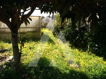 Terreno para Venda em Albergaria-A-Velha e Valmaior