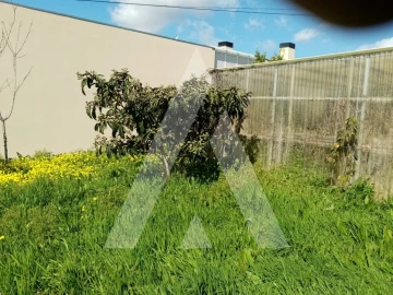 Terreno para Venda em Albergaria-A-Velha e Valmaior