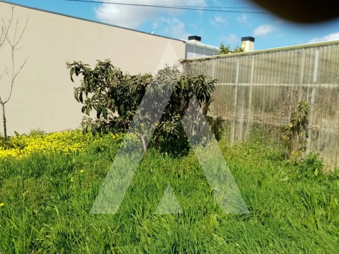 Terreno para Venda em Albergaria-A-Velha e Valmaior Foto 7