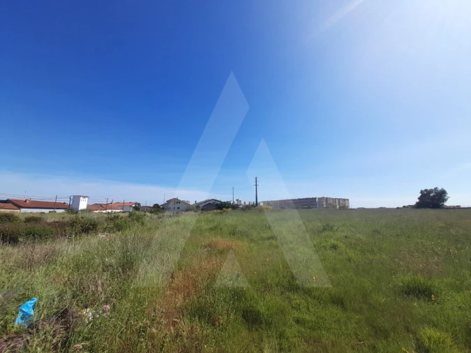 Terreno para Venda em Esgueira Foto 3