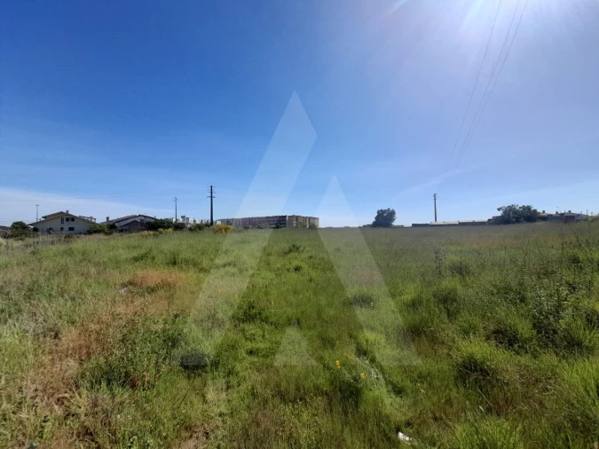 Terreno para Venda em Esgueira Foto 7
