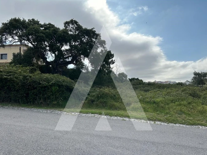 Terreno para Venda em Marrazes e Barosa Foto 2