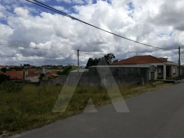 Terreno para Venda em Ílhavo (São Salvador)