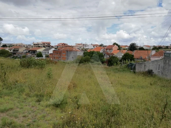 Terreno para Venda em Ílhavo (São Salvador) Foto 4
