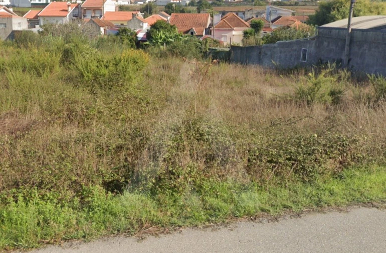 Terreno para Venda em Ílhavo (São Salvador) Foto 3