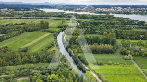 Terreno para Venda em Eixo e Eirol