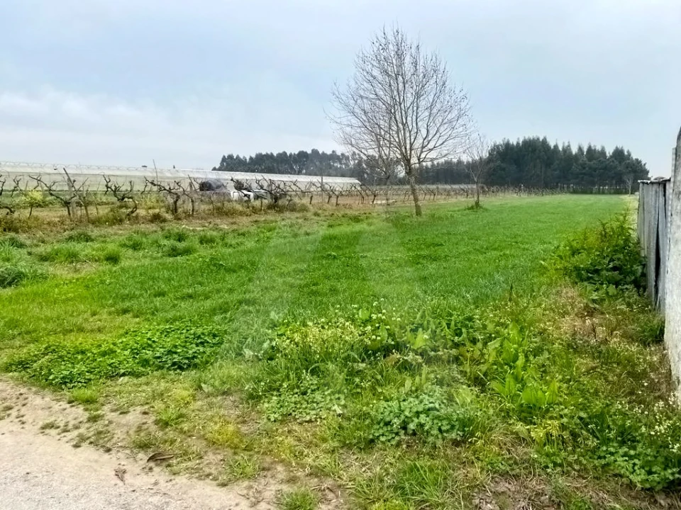 Terreno para Venda em São Bernardo Foto 2